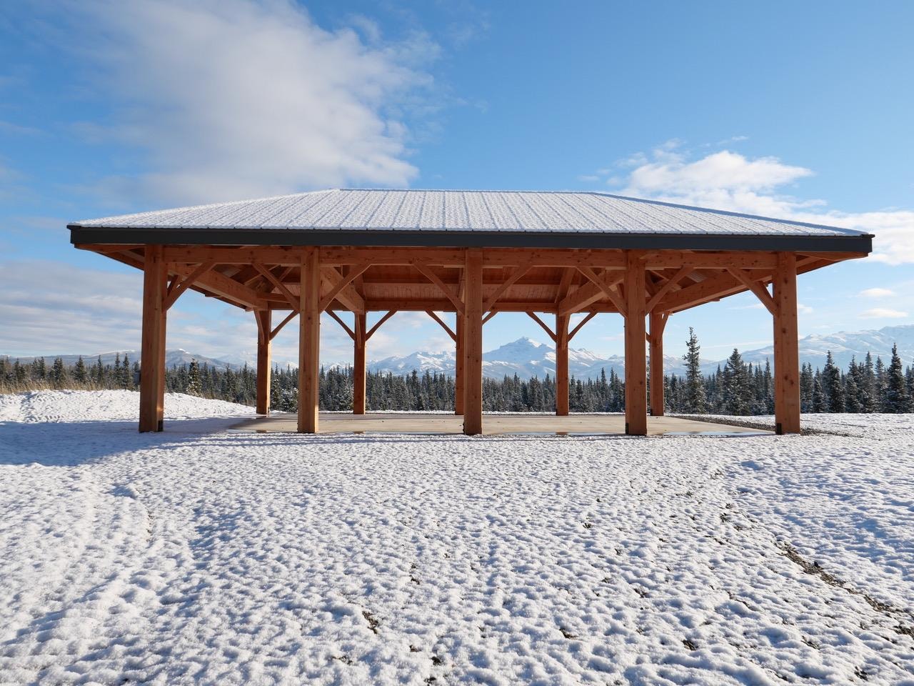 Douglas Fir timber shipping
