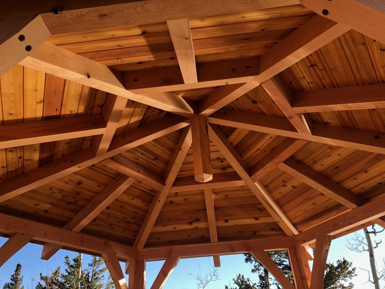 Douglas Fir timber framing construction